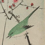 中国画 ウグイス 鶯 中華 アート 絵画 インテリア 梅の木 小鳥